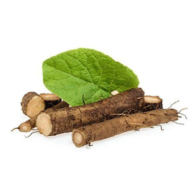 Burdock Root