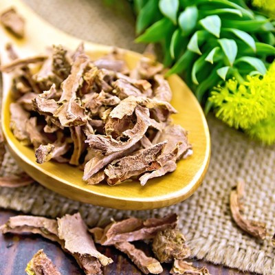 Rhodiola