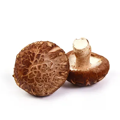 Shiitake